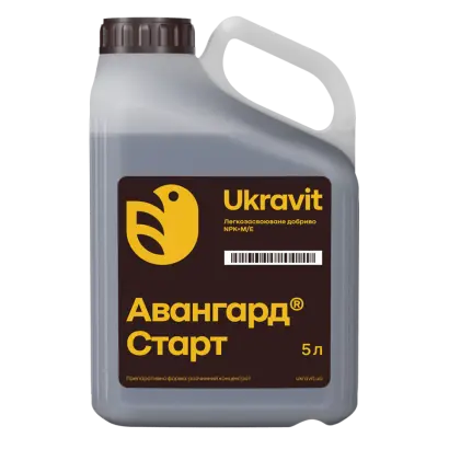 Avangard CrystAVit