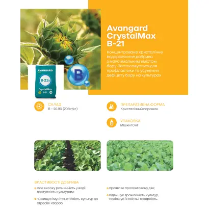 Аvangard CrystalMax