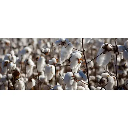 AgriGuardian MicroMix Complete™ (АгріГардіан МікроМікс Компліт)