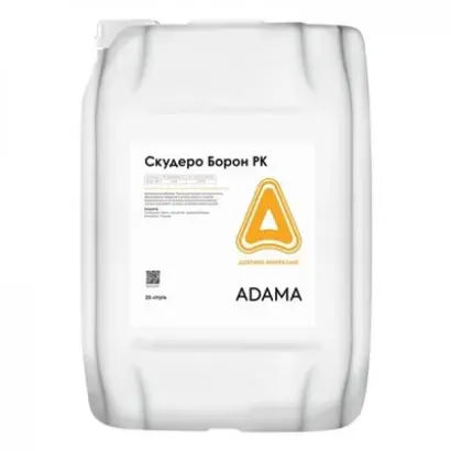 Скудеро Борон РК