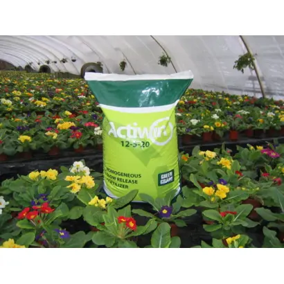 Актівін (Тренер)