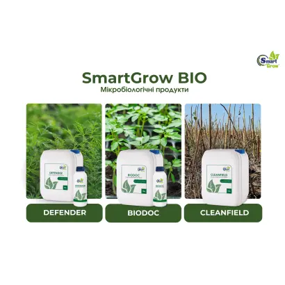 Брендт Смарт