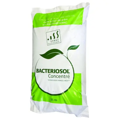 Куатерна Терра (Куатерна Терра, Куатерна Терра Органік)