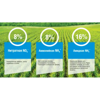 Кас-Актив (марка «А», марка «В»)