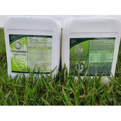 Наноактиватор