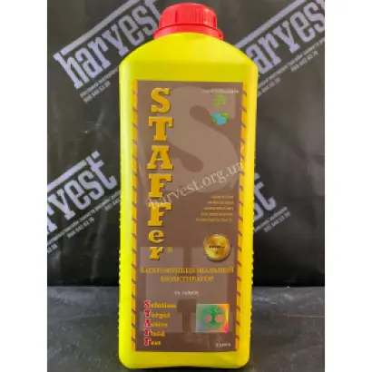 STAFFer (СТАФФер)