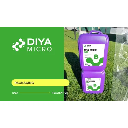DIYA-Місго (Дія-Мікро)