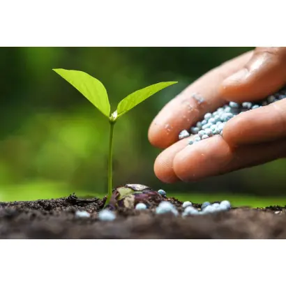 ФОСФОРНІ КОМПЛЕКСИ