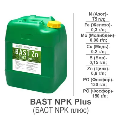 BAST PLUS (БАСТ ПЛЮС)