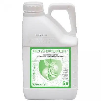 Нертус Фотосинтез