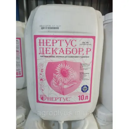 Нертус Декабор