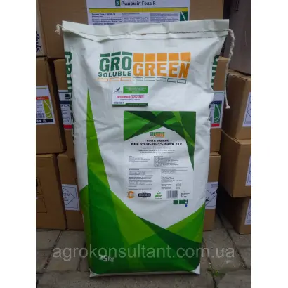 Гронгрін Грінта Сола