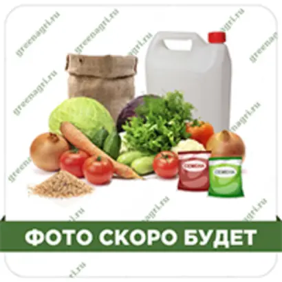 БАЗАТОП.ГР.