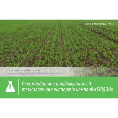 Тарра сорб фолі ар