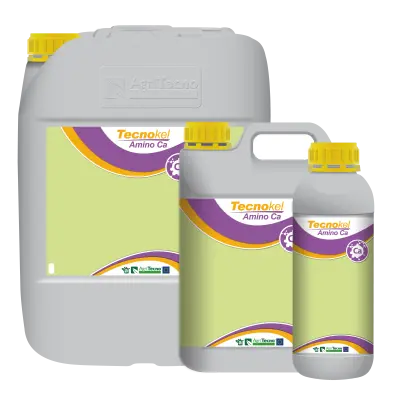 ТЕКНОКЕЛЬ АМІНО (марки B, Ca, Fe, Mg, Mn, Zn, Mo, Mix)