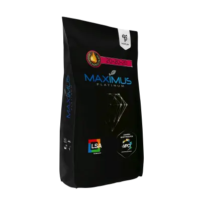 МАКСIМУС 20+20+20