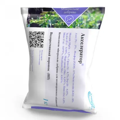 Акселератор