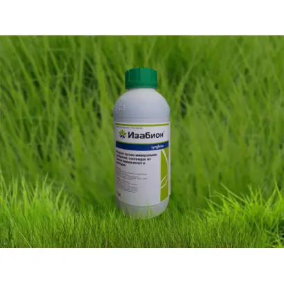 ИЗАБИОН