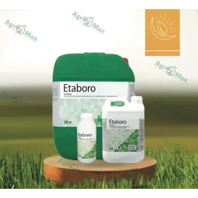 ЕТАБОРО