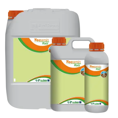 Текамін Раіс