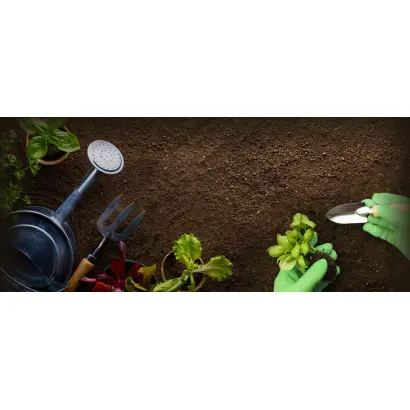 Пьюр «Пот енд патіо плантс»