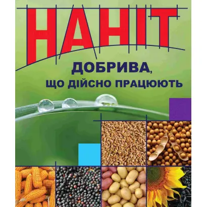 НАНІТ