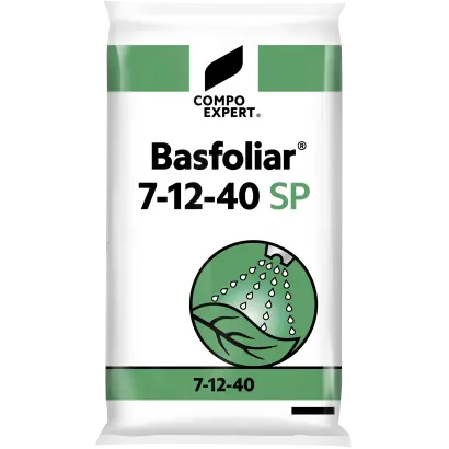 Басфоліар Борон СП