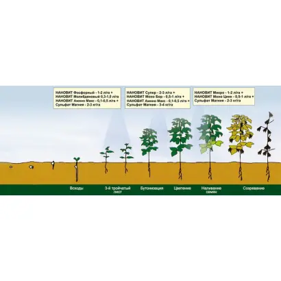 НАНО-МОБО ПЛЮС