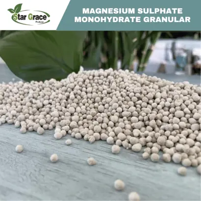 ЕСТА КИЗЕРИТ