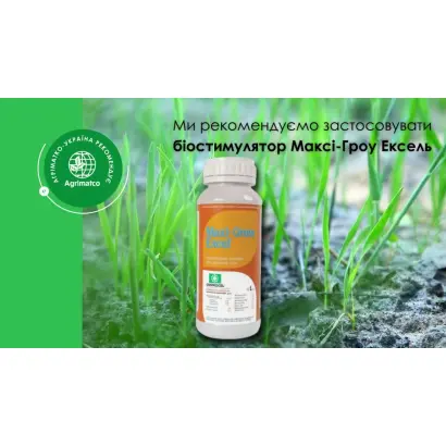 Максі-Гроу Ексель