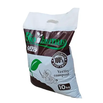 Оазис-Супер