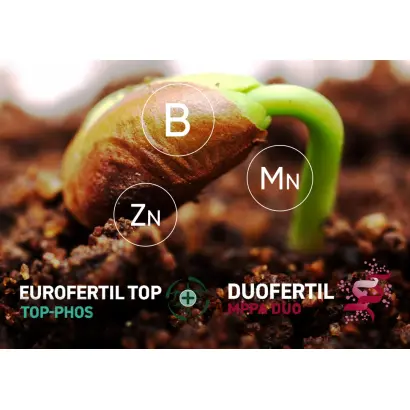 ЄВРОФЕРТІЛN-Процес