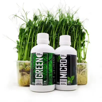 МІКРОГУМІН