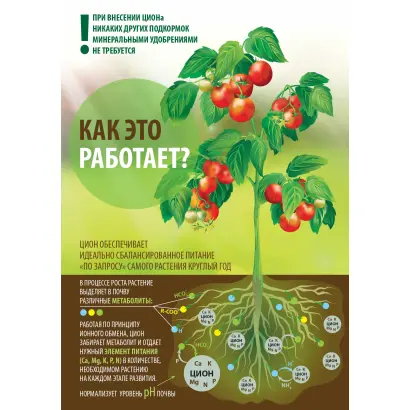 Инцентия (Incentia)