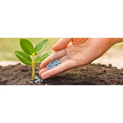 АММИАЧНАЯ СЕЛИТРА