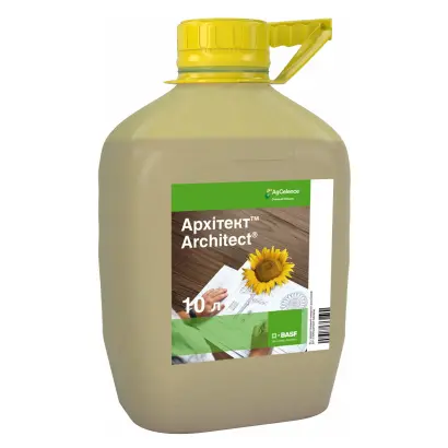 Архітект