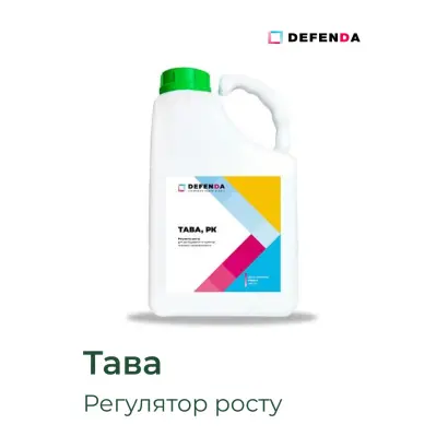 ТАВА