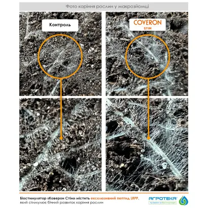 КОВЕРОН СТІМ