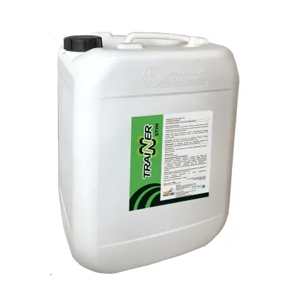 Тренер Стім