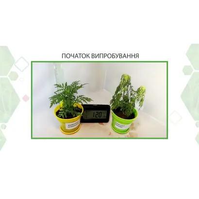 ЗАСІБ ПРОТИ АМБРОЗІЇ ТА ПИЛЕПРИГНІЧЕННЯ UNIMAG (ЮНІМАГ)