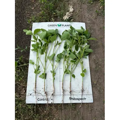 БТС-Фітоспектр