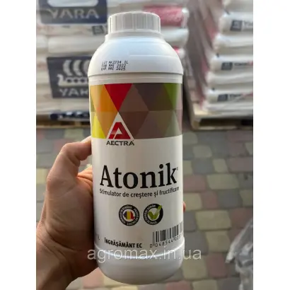 Чорний Яків