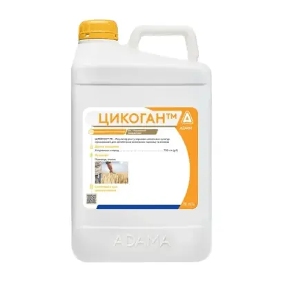 АЙДАМІН-ЦИТО