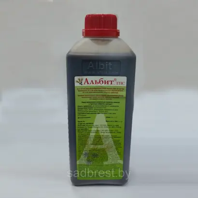АЛЬБИТ