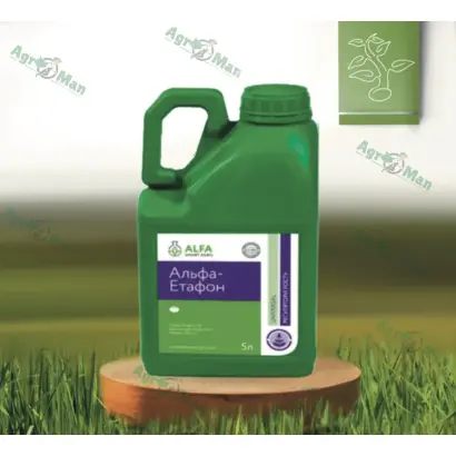 АЛЬФА ЭТАФОН
