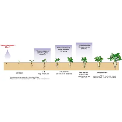 Бетастимулін