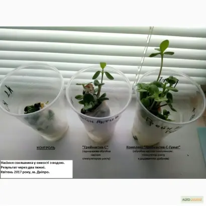 Грейнактив-С