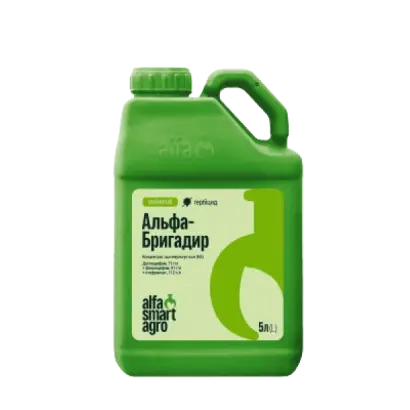 АЛЬФА-БРИГАДИР