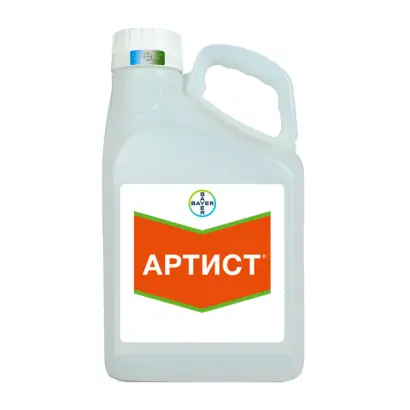 АРТИСТ 41,5WG