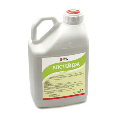 АПСТЕЙДЖ (UPSTAGE)